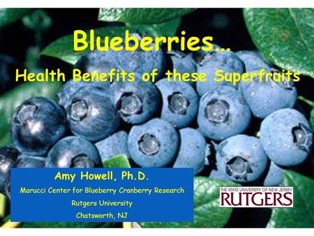 Blueberries… Health Benefits of these Superfruits Amy Howell, Ph.D. Marucci Center for Blueberry Cranberry Research Rutgers University Chatsworth, NJ.