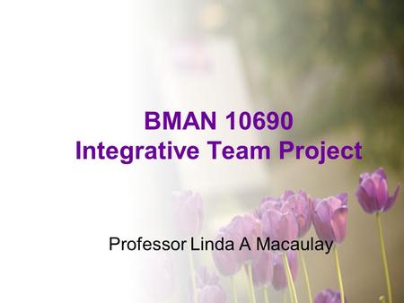 BMAN 10690 Integrative Team Project Professor Linda A Macaulay.