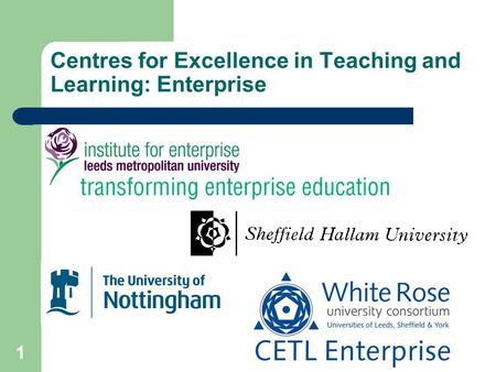 1 Centres for Excellence in Teaching and Learning: Enterprise.
