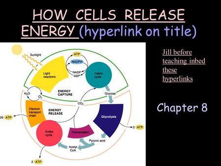 Chapter 8 HOW CELLS RELEASE ENERGY HOW CELLS RELEASE ENERGY (hyperlink on title) Jill before teaching inbed these hyperlinks.