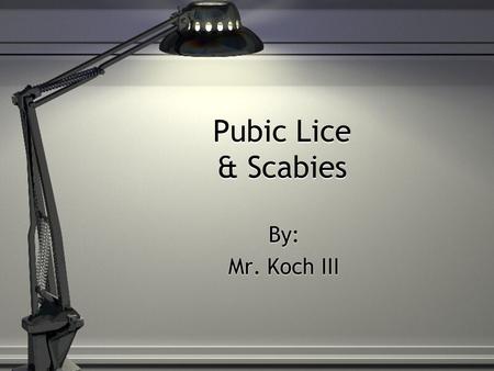 Pubic Lice & Scabies By: Mr. Koch III.