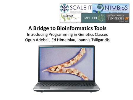 A Bridge to Bioinformatics Tools Introducing Programming in Genetics Classes Ogun Adebali, Ed Himelblau, Ioannis Tsiligaridis.