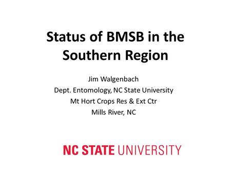 Status of BMSB in the Southern Region Jim Walgenbach Dept. Entomology, NC State University Mt Hort Crops Res & Ext Ctr Mills River, NC.