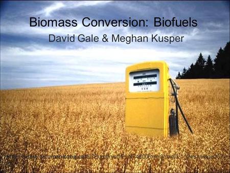 Biomass Conversion: Biofuels