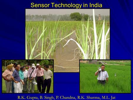 Sensor Technology in India R.K. Gupta, B. Singh, P. Chandna, R.K. Sharma, M.L. Jat.