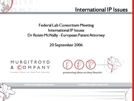 International IP Issues Federal Lab Consortium Meeting International IP Issues Dr Roisin McNally - European Patent Attorney 20 September 2006.