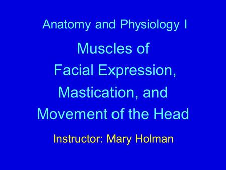 Anatomy and Physiology I Muscles of Facial Expression, Mastication, and Movement of the Head Instructor: Mary Holman.