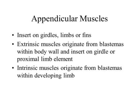 Appendicular Muscles Insert on girdles, limbs or fins Extrinsic muscles originate from blastemas within body wall and insert on girdle or proximal limb.