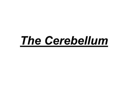 The Cerebellum. –The cerebellar cortex is folded into numerous, small gyri, making it easy to distinguish from the cerebral hemispheres. –The cerebellum.