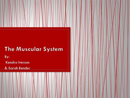 By: Kendra Iverson & Sarah Bender. Muscle- fibrous tissue with the ability to contract, producing movement in or maintaining the position of an animal.