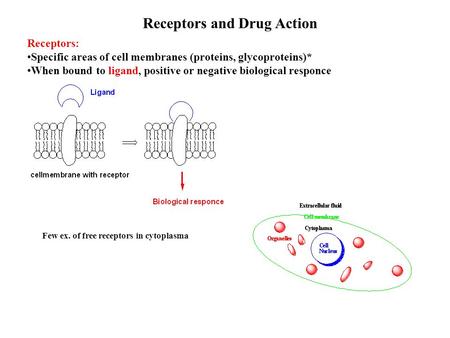 Receptors and Drug Action Receptors: Specific areas of cell membranes (proteins, glycoproteins)* When bound to ligand, positive or negative biological.