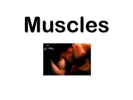 Muscles. Muscles work by contracting. Muscles pull. A pair is needed to move a bone two ways. An antagonistic pair.