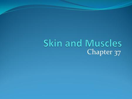 Chapter 37. What do you think the functions of the skin are?