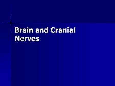 Brain and Cranial Nerves