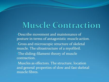Describe movement and maintenance of posture in terms of antagonistic muscle action. Gross and microscopic structure of skeletal muscle. The ultrastructure.