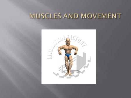MUSCLES AND MOVEMENT.