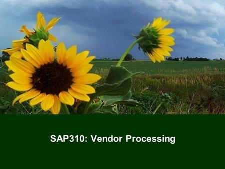 1 SAP310: Vendor Processing. 22 Training Agenda  Welcome  Introductions  Training Materials Overview  Lesson One – Vendor Processing Overview  Lesson.