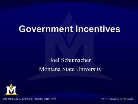 Government Incentives Joel Schumacher Montana State University.