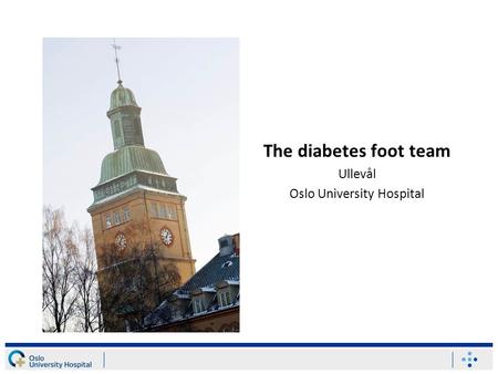 The diabetes foot team Ullevål Oslo University Hospital.