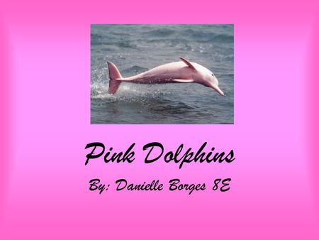 Pink Dolphins By: Danielle Borges 8E. Pink Dolphins Another name for the Pink Dolphin is Chinese White Dolphin (Sousa chinensis chinensis).