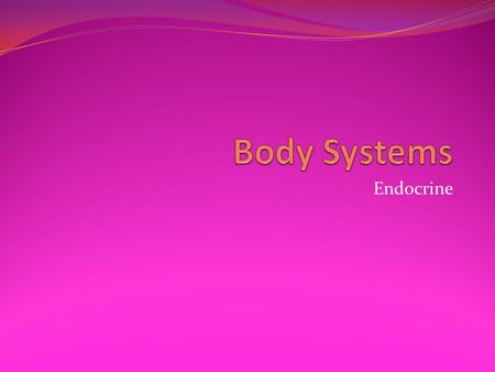 Endocrine. Function Produce hormones-released into bloodstream Maintain homeostasis Works through negative feedback: Obtaining a desired response to a.