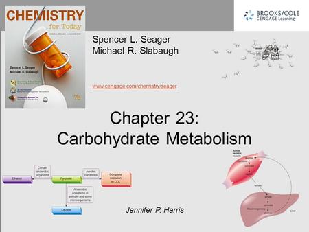 CARBOHYDRATE METABOLISM (DIGESTION)