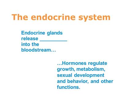 4 The endocrine system Endocrine glands release __________ into the bloodstream… …Hormones regulate growth, metabolism, sexual development and behavior,