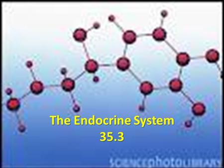 The Endocrine System 35.3. The Endocrine System Body has two systems for control Body has two systems for control Electrical  Nervous system Chemical.
