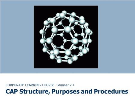 CORPORATE LEARNING COURSE Seminar 2.4 CAP Structure, Purposes and Procedures.