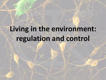 Living in the environment: regulation and control.