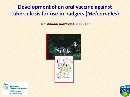 Development of an oral vaccine against tuberculosis for use in badgers (Meles meles) Dr Eamonn Gormley, UCD Dublin.