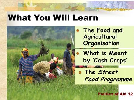 What You Will Learn Politics of Aid 12 The Food and Agricultural Organisation What is Meant by ‘Cash Crops’ The Street Food Programme.