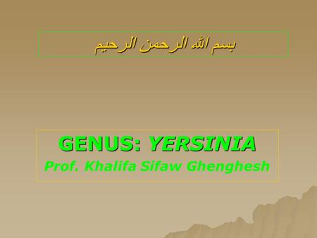 بسم الله الرحمن الرحيم GENUS: YERSINIA Prof. Khalifa Sifaw Ghenghesh.