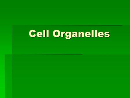 Cell Organelles. CELL ORGANELLES  Nucleus  Nuclear Pore  hole in nuclear envelope that allows material in and out of nucleus.  Nucleolus  make RNA.