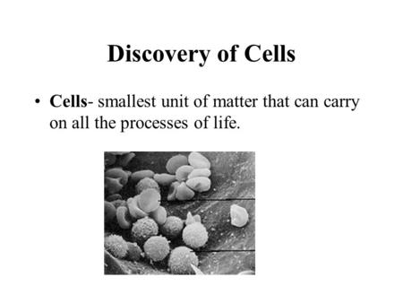 Discovery of Cells Cells- smallest unit of matter that can carry on all the processes of life.
