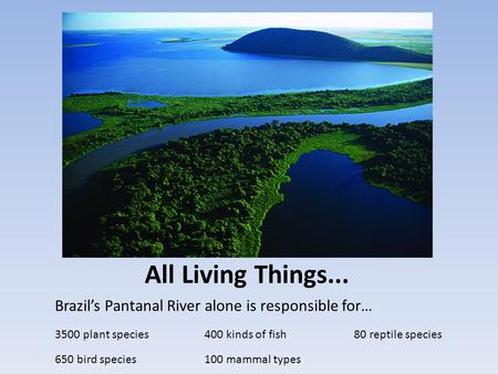 All Living Things... Brazil’s Pantanal River alone is responsible for… 3500 plant species400 kinds of fish80 reptile species 650 bird species100 mammal.