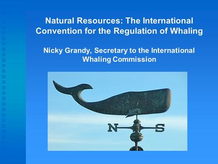 Natural Resources: The International Convention for the Regulation of Whaling Nicky Grandy, Secretary to the International Whaling Commission.