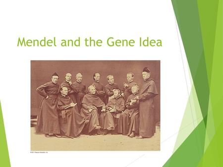 Mendel and the Gene Idea. What genetic principles account for the passing of traits from parents to offspring?  The “blending” hypothesis is the idea.