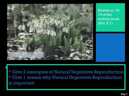 + * Give 2 examples of Natural Vegetative Reproduction * Give 1 reason why Natural Vegetative Reproduction is important Answer p. 18- 19 of the activity.