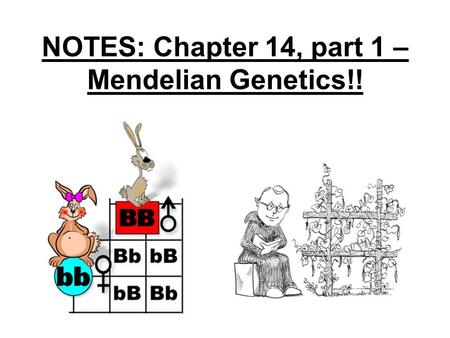 NOTES: Chapter 14, part 1 – Mendelian Genetics!!