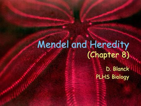 Mendel and Heredity (Chapter 8) D. Blanck PLHS Biology D. Blanck PLHS Biology.
