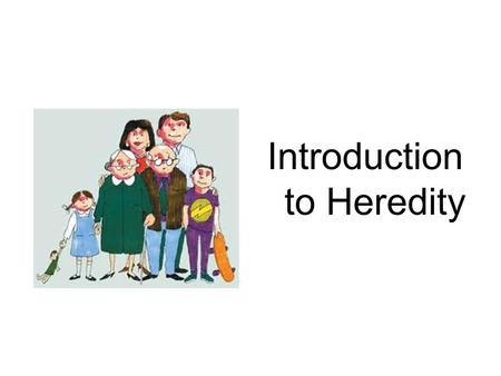 Introduction to Heredity. What is Heredity? Heredity is the passing of traits from parents to offspring Genetics is the study of heredity.