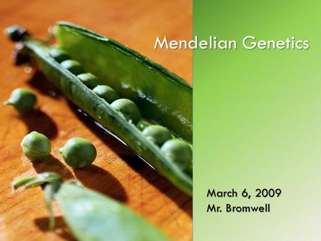 April 2008 Mendelian Genetics March 6, 2009 Mr. Bromwell.
