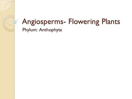 Angiosperms- Flowering Plants