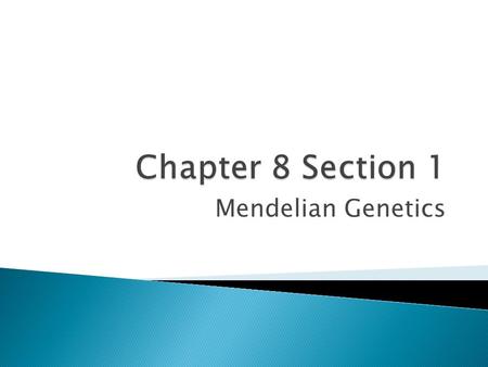 Chapter 8 Section 1 Mendelian Genetics.
