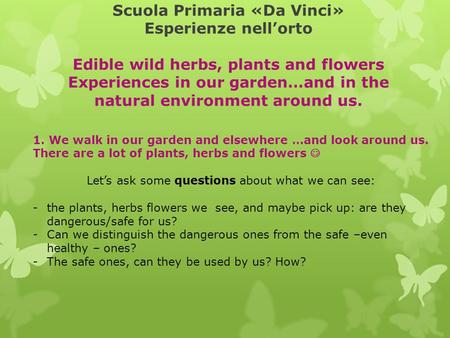 Scuola Primaria «Da Vinci» Esperienze nell’orto Edible wild herbs, plants and flowers Experiences in our garden…and in the natural environment around us.