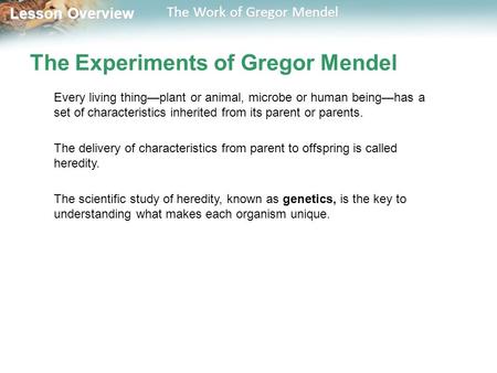 Lesson Overview Lesson Overview The Work of Gregor Mendel The Experiments of Gregor Mendel Every living thing—plant or animal, microbe or human being—has.