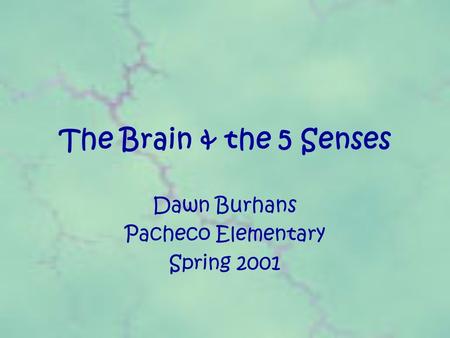 The Brain & the 5 Senses Dawn Burhans Pacheco Elementary Spring 2001.