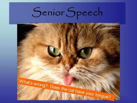 Senior Speech W h a t ’ s w r o n g ? D o e s t h e c a t h a v e y o u r t o n g u e ?