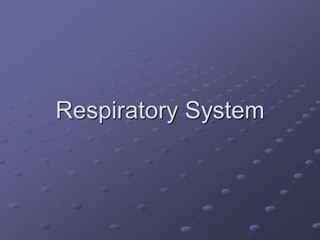 Respiratory System. Place your hands on either side of you rib cage and breathe deeply several times. Describe to me what you felt while you breathe out.